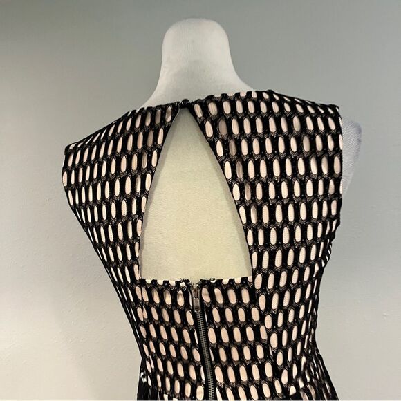 Hagel lace Mesh Sleeveless formal deep v-neck Dress size small - Picture 9 of 15
